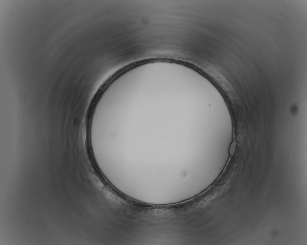 X0000094170888200711241528