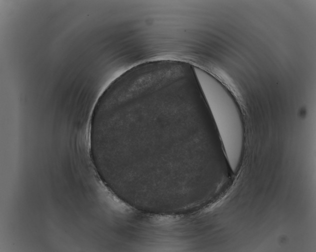 X0000094170892200711241528