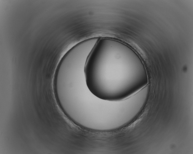 X0000094170893200711241528
