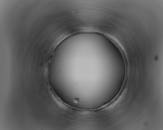 X0000094170897200711241527