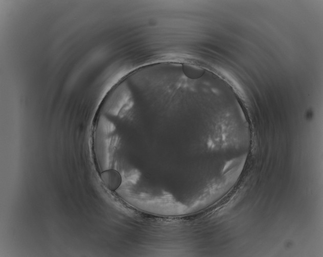 X0000094170899200711241527