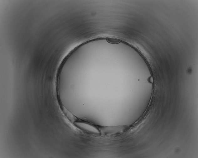 X0000094170902200711241527