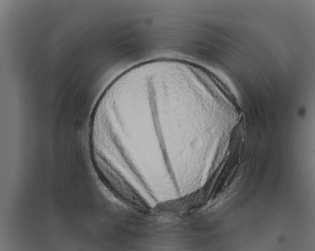 X0000094170903200711241527