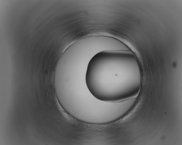 X0000094170905200711241527
