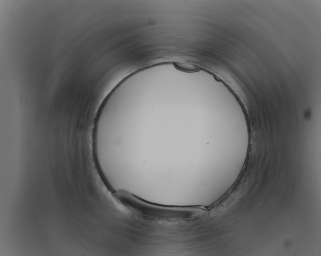 X0000094170906200711241527