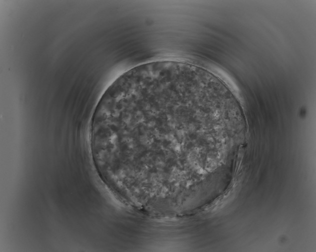 X0000094170907200711241527