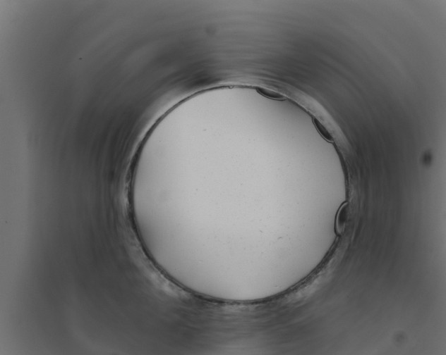 X0000094170908200711241527