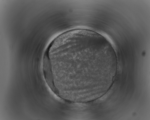 X0000094170910200711241527