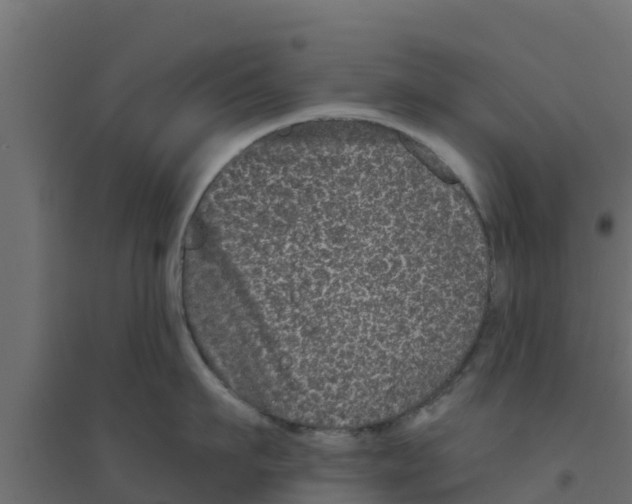 X0000094170911200711241527