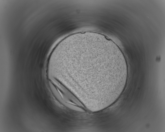 X0000094170912200711241527