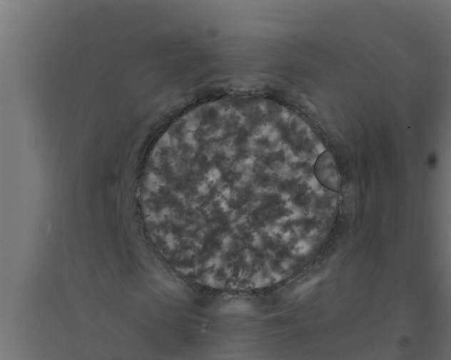X0000094170913200711241527