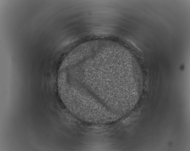 X0000094170917200711241527