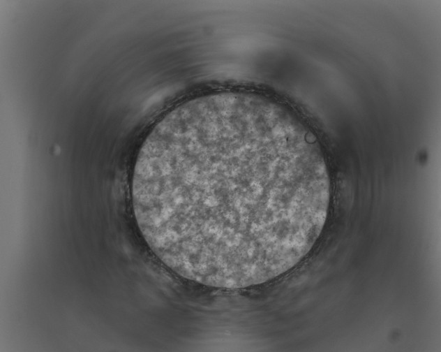 X0000094170918200711241527