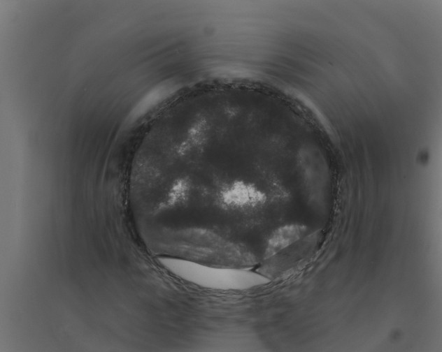 X0000094170919200711241527
