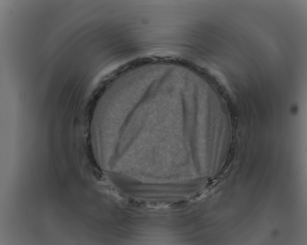 X0000094170920200711241527