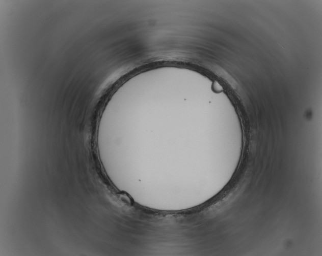 X0000094170922200711241527