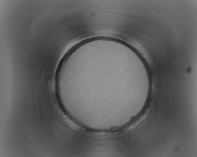 X0000094170924200711241527
