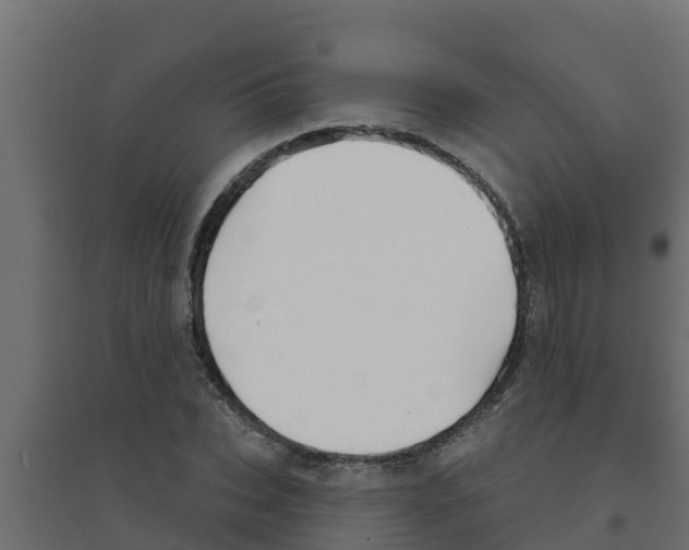 X0000094170927200711241527