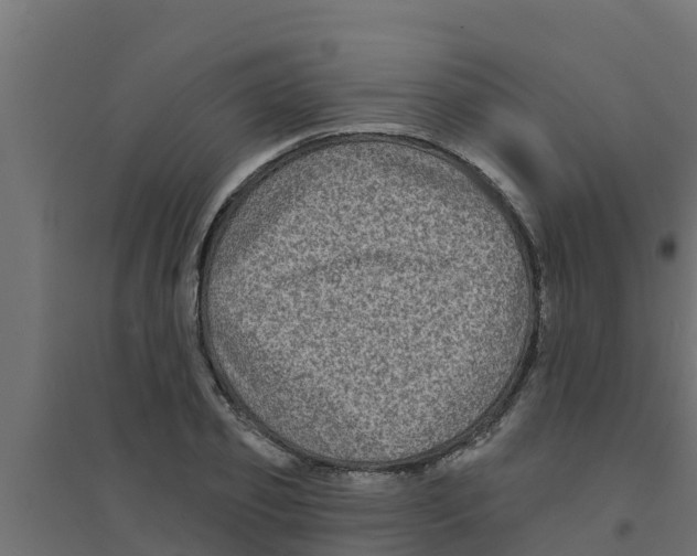 X0000094170933200711241527