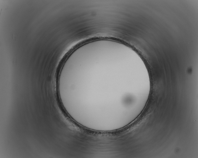 X0000094170934200711241527