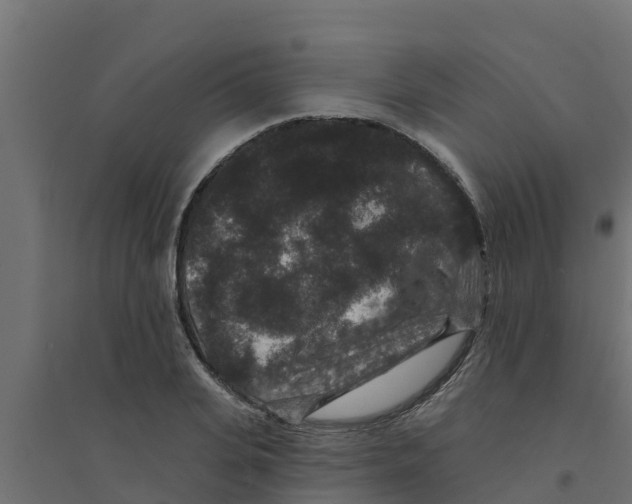 X0000094170935200711241527