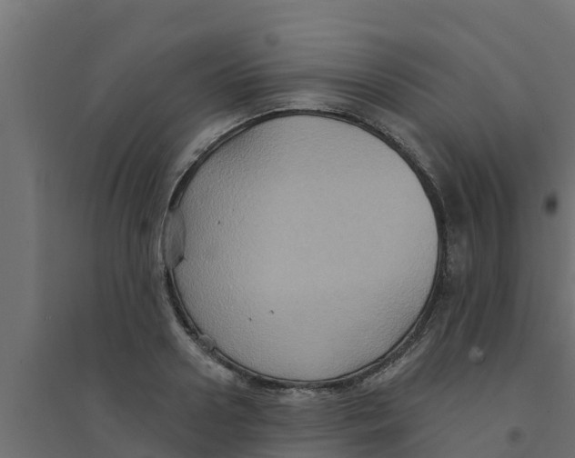 X0000094170938200711241527
