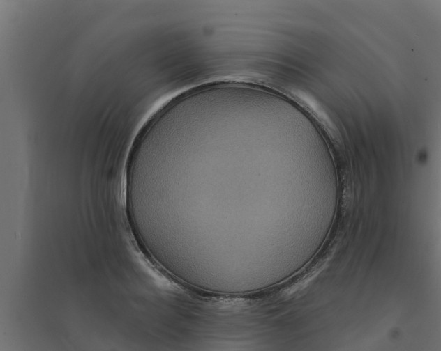 X0000094170940200711241527