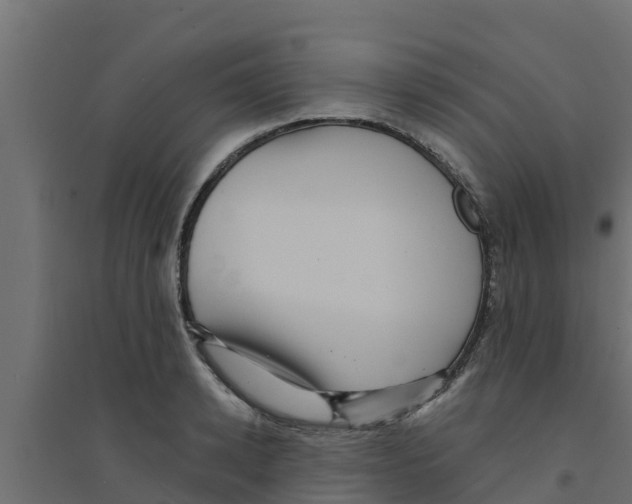 X0000094170942200711241527