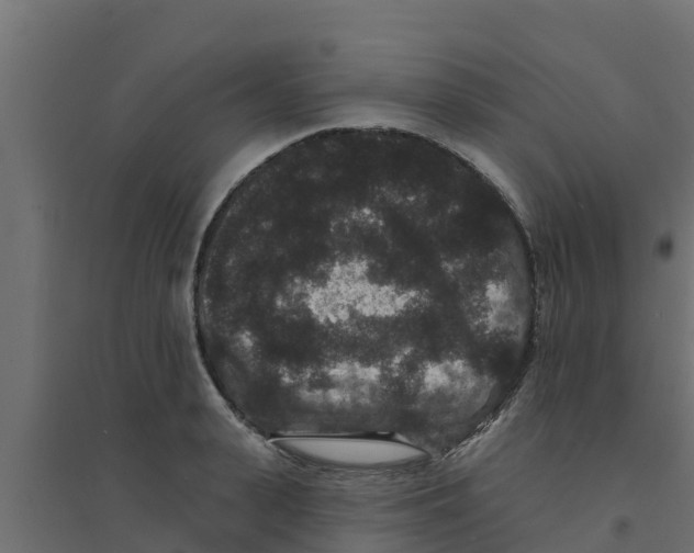 X0000094170943200711241527