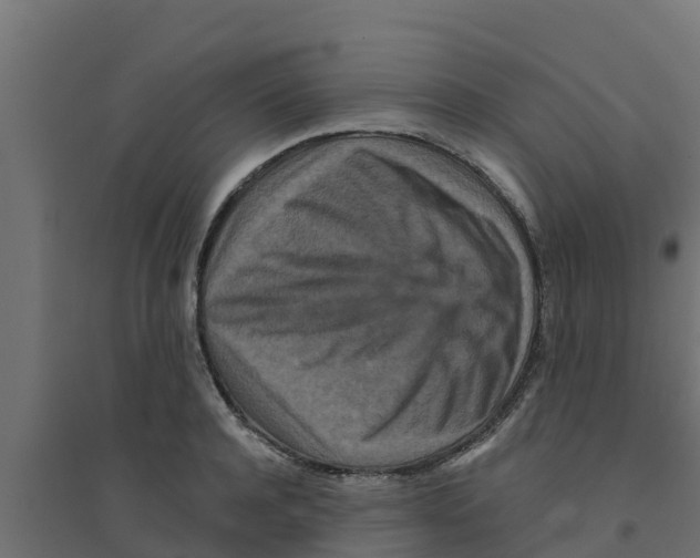 X0000094170944200711241527