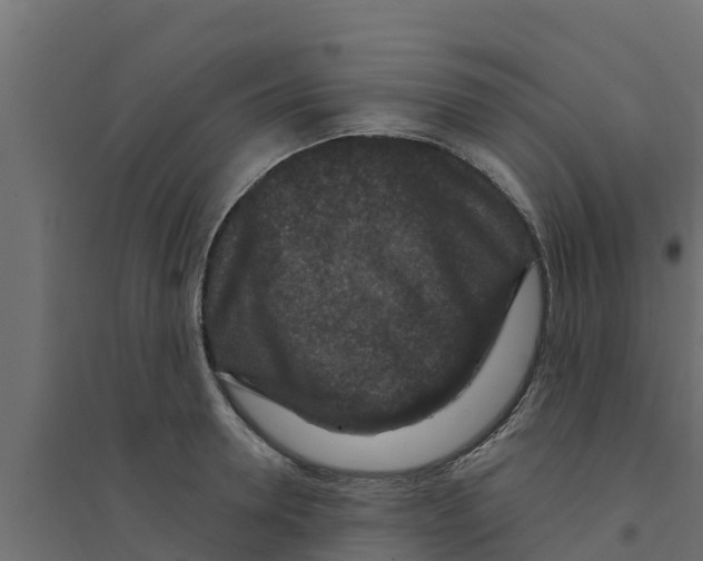 X0000094170946200711241527