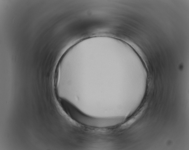X0000094170957200711241527