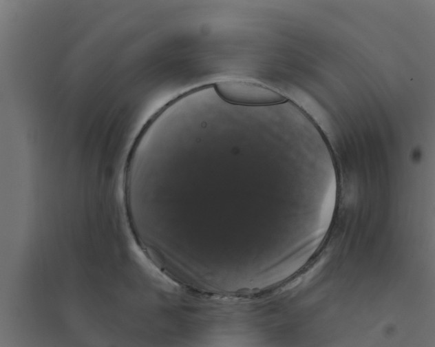 X0000094170958200711241527