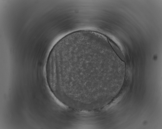 X0000094170959200711241527