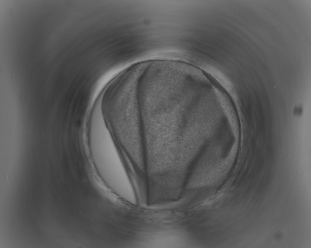 X0000094170960200711241527