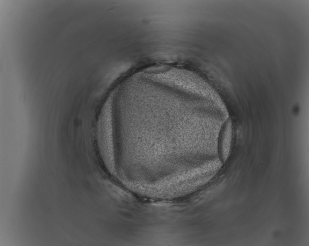 X0000094170961200711241527