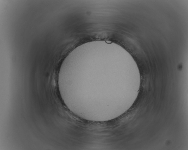 X0000094170962200711241527