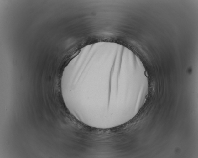 X0000094170964200711241527