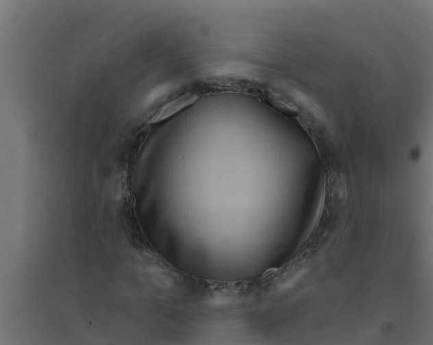 X0000094170965200711241527