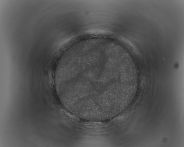 X0000094170966200711241527