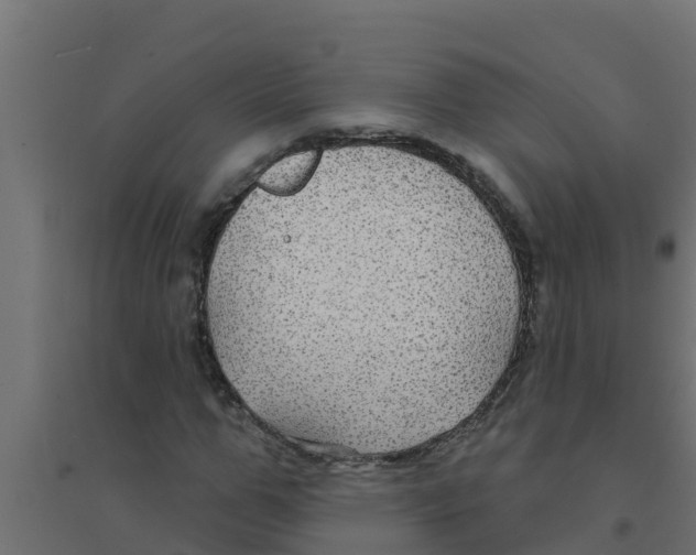 X0000094170967200711241526
