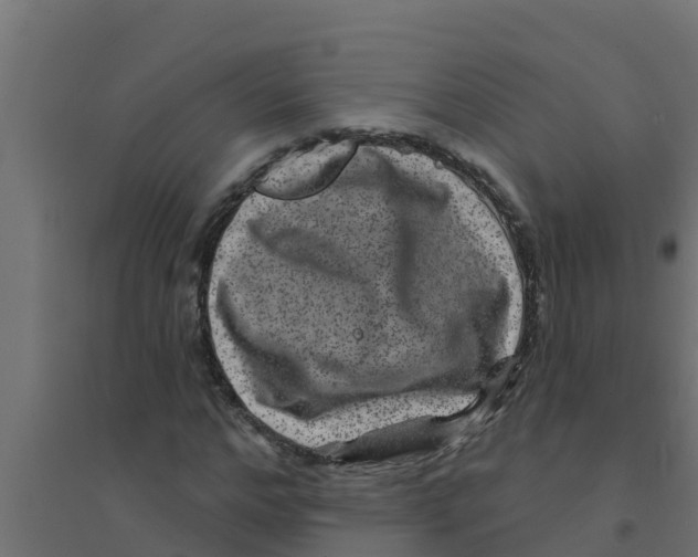 X0000094170968200711241526