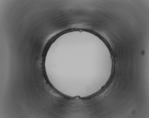 X0000094170971200711241526