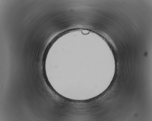 X0000094170972200711241526