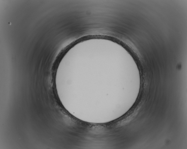 X0000094170974200711241526