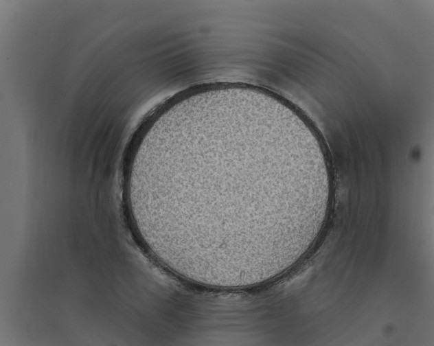 X0000094170979200711241526