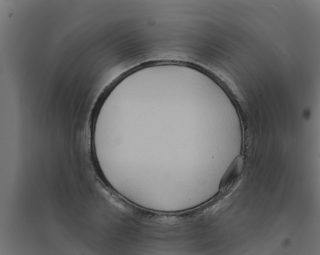 X0000094170982200711241526