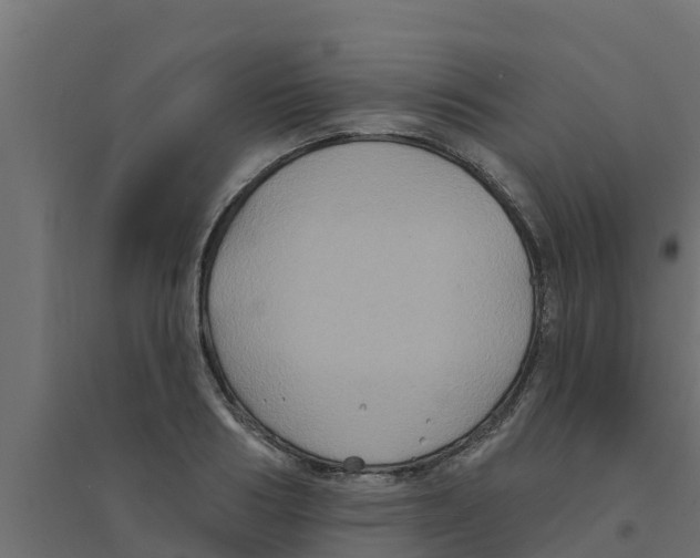 X0000094170986200711241526