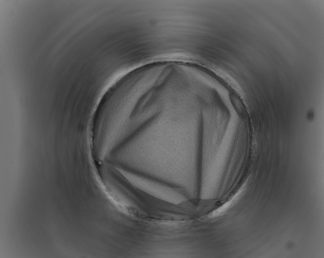 X0000094170989200711241526