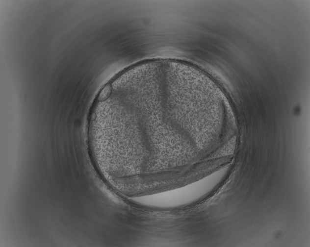 X0000094170990200711241526